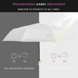 Collapsible Rain and UV Umbrella